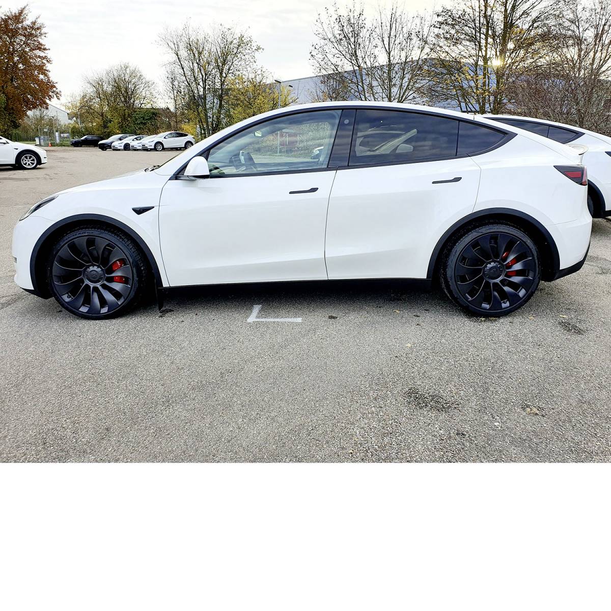Tesla Modell Y Performance
